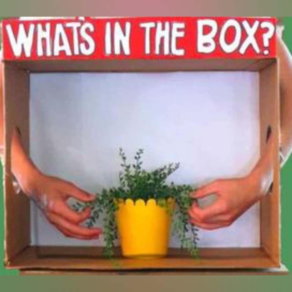 What's In The Box